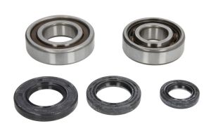 Kompletny zestaw uszczelek silnika P4E0510444001