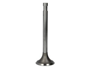 Zawór ssący PMWM001