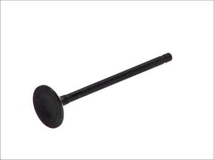 Zawór wydechowy 6485/RNT