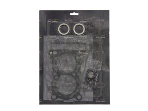 Kompletny zestaw uszczelek silnika RMS 10 068 9520