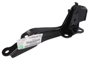 Zawias pokrywy silnika 6802-00-6738451P