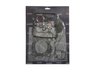 Kompletny zestaw uszczelek silnika RMS 10 068 9561