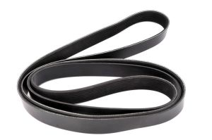 Pasek wieloklinowy 4.81019