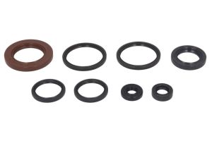 Komplet uszczelniaczy silnika P400510400058