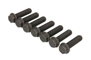 Zestaw śrub koła zamachowego 411 0170 11