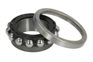 Łożysko główki ramy RMS 18 422 0322