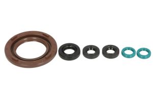 Komplet uszczelniaczy silnika P400485400158