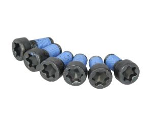 Zestaw śrub koła zamachowego 411 0112 10