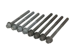 Zestaw śrub głowicy cylindrów AJU81050900