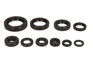 Komplet uszczelniaczy silnika W822265