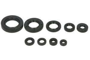 Komplet uszczelniaczy silnika W822354