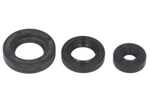 Komplet uszczelniaczy silnika W822199