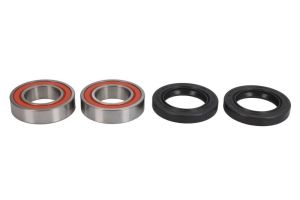 Zestaw łożyska koła WBK-318