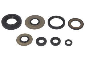 Komplet uszczelniaczy silnika W822154