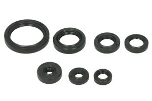 Komplet uszczelniaczy silnika W822692