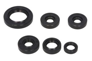 Komplet uszczelniaczy silnika W822203