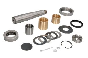 Zestaw naprawczy, zwrotnica (kolumna amortyzatora) ZNZZ-610