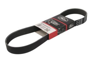 Pasek wieloklinowy GAT8PK954EST