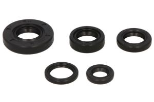 Komplet uszczelniaczy silnika W822222