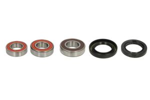 Zestaw łożyska koła WBK-461