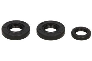 Komplet uszczelniaczy silnika W822184