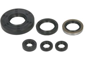 Komplet uszczelniaczy silnika W822262