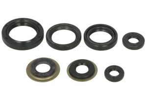 Komplet uszczelniaczy silnika W822260