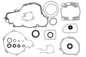 Kompletny zestaw uszczelek silnika W811665