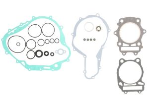 Kompletny zestaw uszczelek silnika W811592