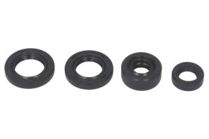 Komplet uszczelniaczy silnika W822214