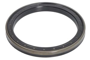 Uszczelniacz piasty koła CO12016448B