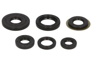 Komplet uszczelniaczy silnika W822307