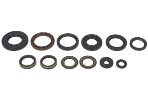 Komplet uszczelniaczy silnika W822202