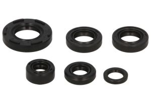 Komplet uszczelniaczy silnika W822224