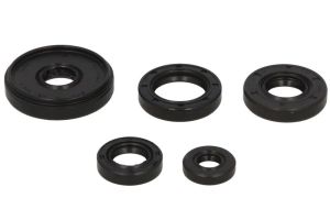 Komplet uszczelniaczy silnika W822196