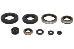 Komplet uszczelniaczy silnika W822286