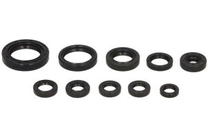 Komplet uszczelniaczy silnika W822270