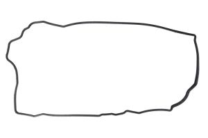 Uszczelka pokrywy zaworów 71-12119-00