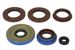 Komplet uszczelniaczy silnika W822198