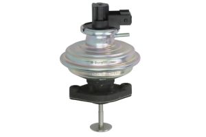 Zawór EGR WA710970D/1