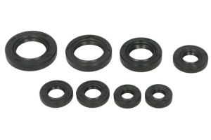 Komplet uszczelniaczy silnika W822255