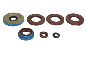 Komplet uszczelniaczy silnika W822375