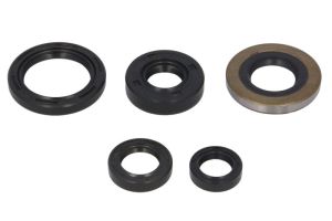 Komplet uszczelniaczy silnika W822139