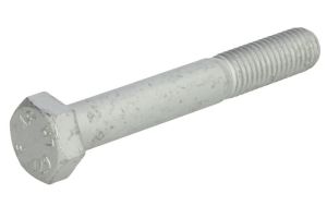 Śruba rolki napinacza 01148169