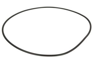 Uszczelniacz skrzyni biegów 0501324123ZF