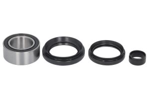 Zestaw łożyska koła 25-1621