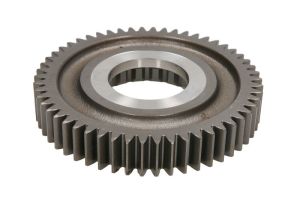 Koło zębate wałka głównego 244121