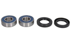 Zestaw łożyska koła 25-1491