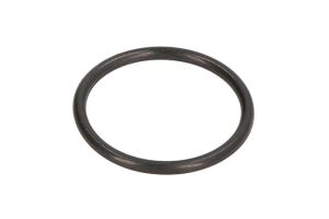 Oring 0634306200ZF
