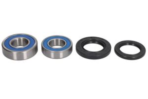 Zestaw łożyska koła 25-1252